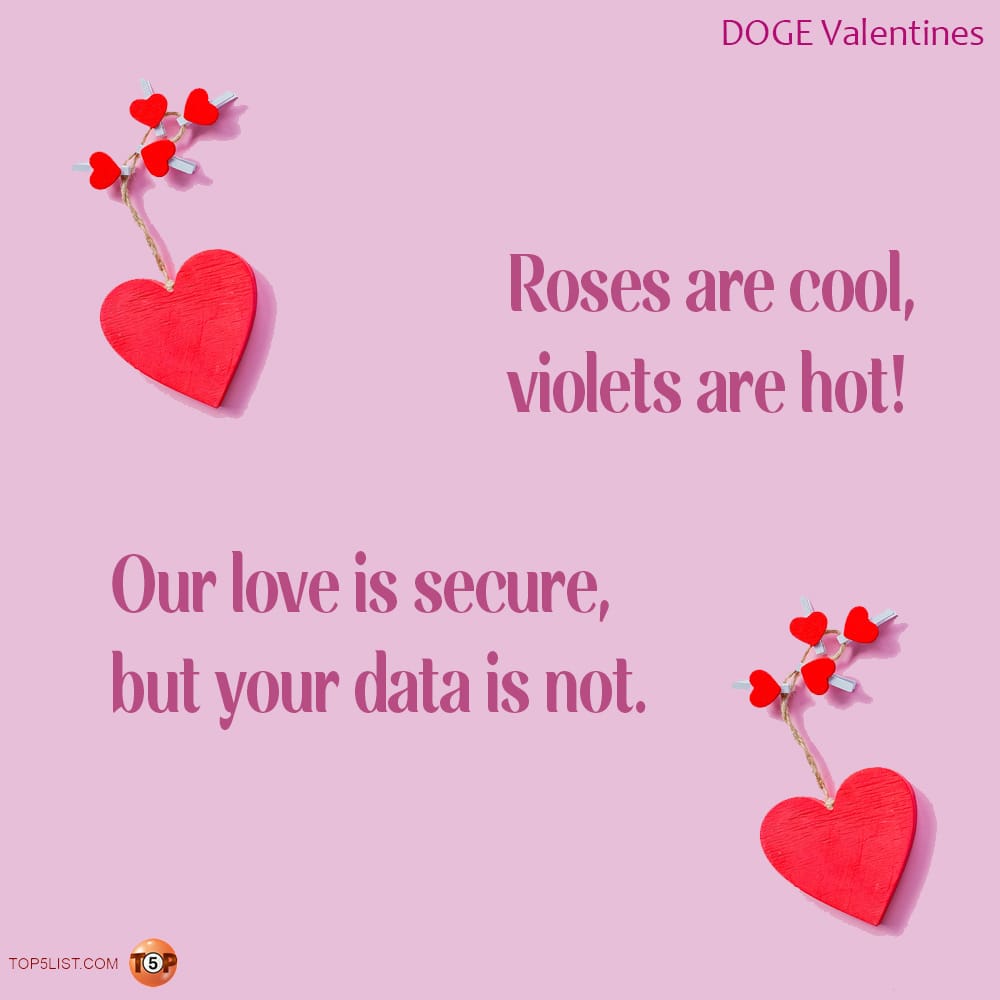 Roses are cool, violets are hot! Our love is secure, but your data is not.